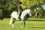 SBM_59210