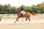 SBM_005106