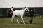 SBM_07622