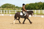 SBM_007682