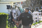 251025-Race 3-Hyland-7960