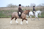 SBM_006031