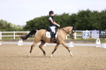 SBM_008541