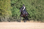 WJ6_6723