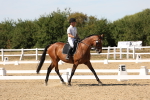 SBM_003753