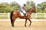 SBM_005260