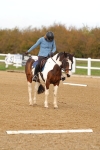 SBM_000775