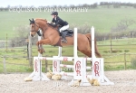 CLASS 5 Pony Discovery / 90cm Open portfolio