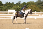 SBM_003706