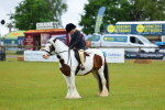 SBM_00975