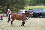 WJ6_6180