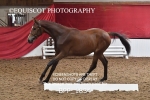 BPP_1834