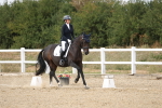 SBM_015016