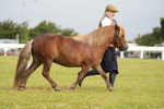 DSC04541
