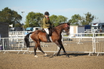 Class 501 -Riding Club Pony portfolio