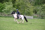 WJ6_3476