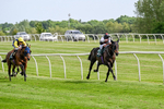 300526-Race 4-Not So Sobers-0589