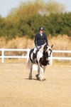 SBM_016778