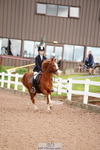 SUN Cls 4 Pony British Novice and 80cm portfolio