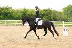 SBM_006479