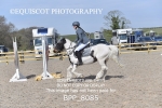 BPP_8085