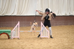 SBM_001221