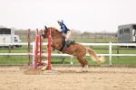 SBM_002077