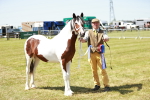SBM_05531