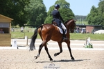 164-TREBOR-Kelly_Mccarthy-maine-WEDTrotUp+DR portfolio