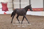 JAC_4877