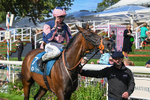 060926-Race 3-Moon Chime-7727