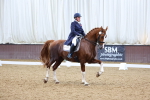 SBM_009475