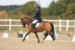 SBM_009694