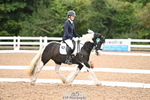 Cls 28-P Freestyle Preliminary Silver portfolio