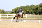 SBM_009304