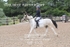 BPP_8105