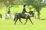 SBM_74988