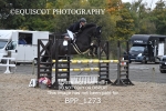 BPP_1273