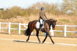 SBM_003741