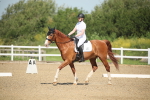 SBM_007979