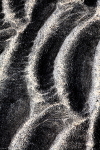 20100826_0152_2