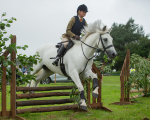 Dunblane show-500