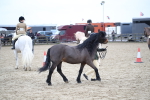 SBM_007289