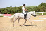 SBM_009137