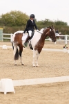 SBM_01682