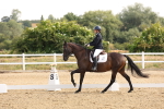 SBM_005343