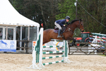 Class 6: Senior 1.05m portfolio