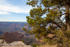 Grand Canyon Rim at Sunset, 6