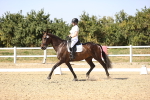SBM_006659
