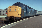 10th August 1983